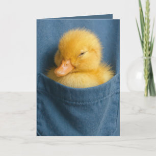 Geburtstags-Entenküken in einer blauen T-Shirt-Tas Karte