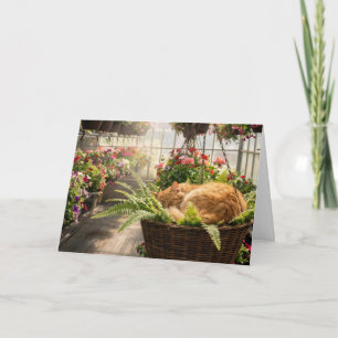 Geburtstags-Gingstkatze schlummert in hängendem Fa Karte