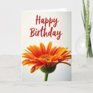 Geburtstags-Glückwunschkarte Birthday Daisy Deligh Karte