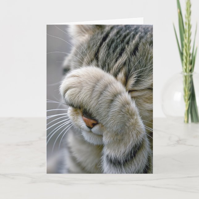 Geburtstags-Graue-Tabby-Katze-wird-alt-Humor Karte (Vorderseite)