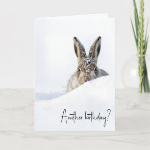 Geburtstags-Hase, der über eine Schneewehe schaut Karte