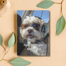 Geburtstags-Hund-Pilot-Flieger-Sonnenbrille-Flugze