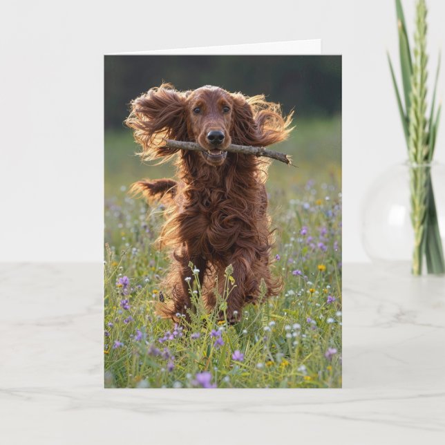 Geburtstags-Irish-Setter im Wildblumenfeld Karte (Vorderseite)
