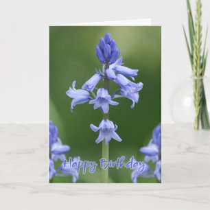 Geburtstags-Karte - Bluebells Karte
