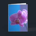 Geburtstags-Karte für Tochter -- Orchidee Karte<br><div class="desc">Diese reizende Orchideenkarte macht eine herrliche Geburtstagskarte für eine Tochter.  Bild und Vers Kathy Henis</div>