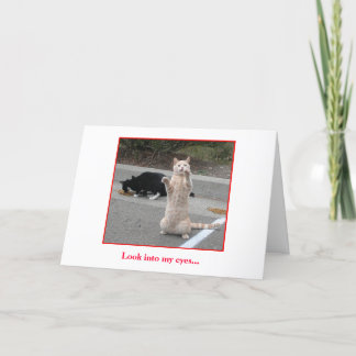 Geburtstags-Karte Karte