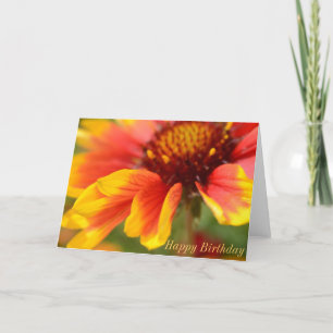 Geburtstags-Karte mit orange Blume Karte