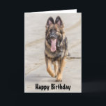 Geburtstags-Karten-Schäferhund-Hundeelsässer Karte<br><div class="desc">Alles Gute zum Geburtstagkarte,  die eine Fotografie eines Schäferhund-Hundeelsässers glücklich trottet entlang einen sandigen Strand kennzeichnet.</div>