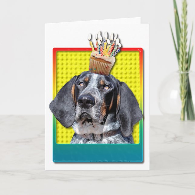 Geburtstags-kleiner Kuchen - Bluetick Coonhound - Karte (Vorderseite)