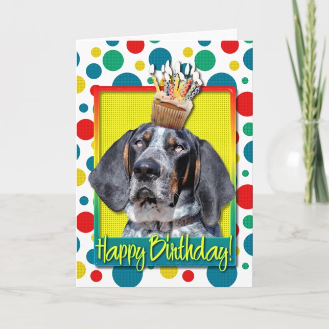 Geburtstags-kleiner Kuchen - Bluetick Coonhound - Karte (Vorderseite)