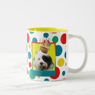 Geburtstags-kleiner Kuchen - tibetanisches Terrier Zweifarbige Tasse