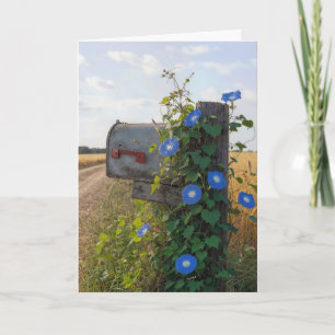 Geburtstags-Landbriefkasten mit Morgenblumen Karte