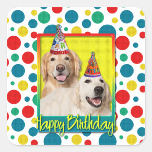 Geburtstags-Party-Hut - goldener Retriever Tebow Quadratischer Aufkleber