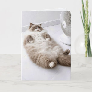 Geburtstags-Ragdoll-Katze kühlt sich an einem Vent Karte