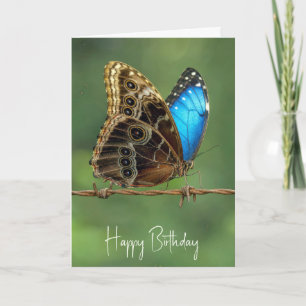 Geburtstags-Schmetterling Common Morpho auf Stache Karte