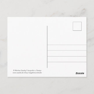 Geburtstags Schneckenpost Postkarte