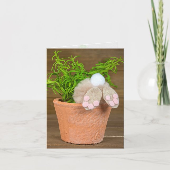 Geburtstags-Spaß-Hase im Blumenkübel Karte (Vorderseite)