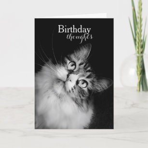 Geburtstagsgedanken aus der Perspektive einer Katz Karte