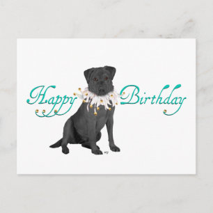 Geburtstagsgrüße für Labrador Retriever Postkarte