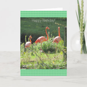 Geburtstagsgrüße mit rosa Flamingos Karte