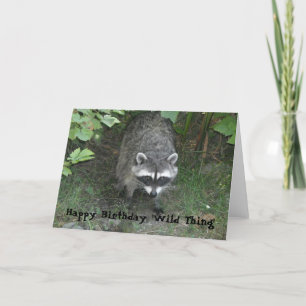 Geburtstagsgrüße - Waschbär Karte