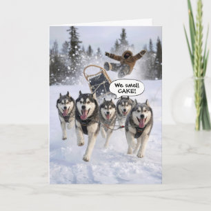 Geburtstagshumor Huskies ziehen einen Schlitten Karte