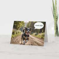 Geburtstagshund riecht Kuchen
