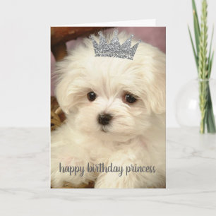 Geburtstagskarte - Alles Gute zum Geburtstag Prinz Karte