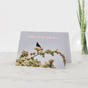 Geburtstagskarte: Blackbird Karte