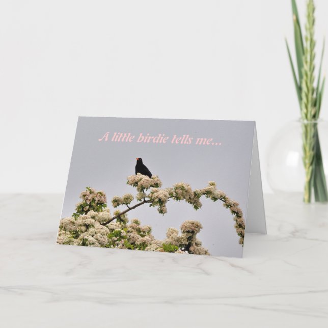 Geburtstagskarte: Blackbird Karte (Vorderseite)