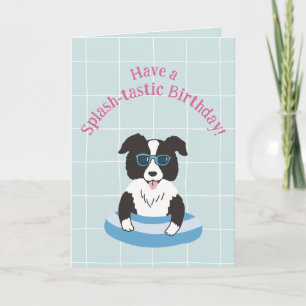 Geburtstagskarte Border Collie Splash-tastisch Karte