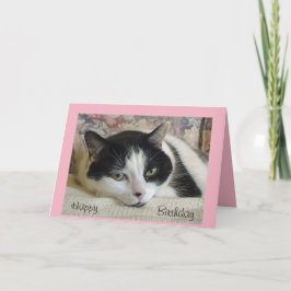 Geburtstagskarte der adäquaten Schwarz/Weiß-Katze Karte