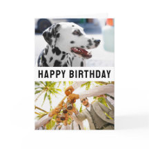 Geburtstagskarte Falten 2 Fotos & Text