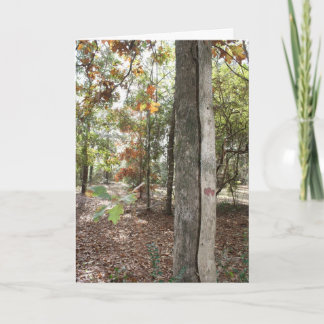 Geburtstagskarte für diesen speziellen Sohn Karte