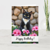 Geburtstagskarte für Floral Kitty