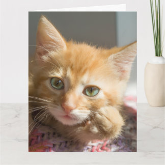 GEBURTSTAGSKARTE FÜR ROTEN KATZENBABY KARTE