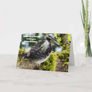 Geburtstagskarte für Vogelfreunde Karte