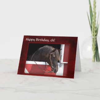 Geburtstagskarte "Happy Birthday, eh" Feiertagskarte