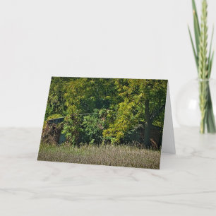 Geburtstagskarte "Herbstblanket" Karte