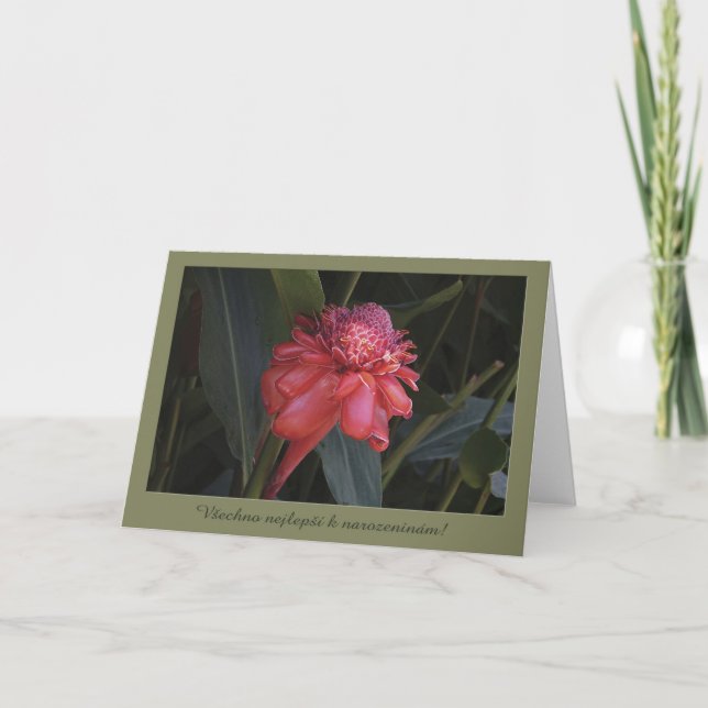 Geburtstagskarte in Tschechisch Karte (Vorderseite)