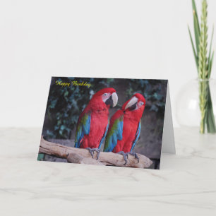 Geburtstagskarte Karte