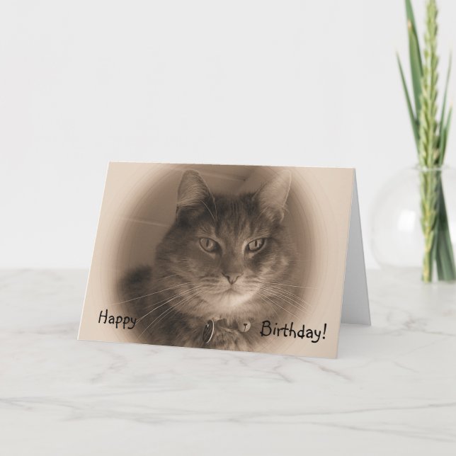 Geburtstagskarte - Katze in Sepia Karte (Vorderseite)