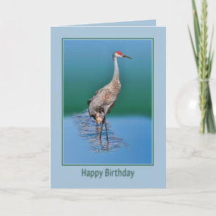 Geburtstagskarte mit Baby Sandhill Crane Karte