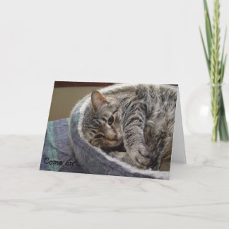 Geburtstagskarte mit niedlicher grauer Katze: Komm Karte