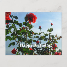 Geburtstagskarte Postkarte