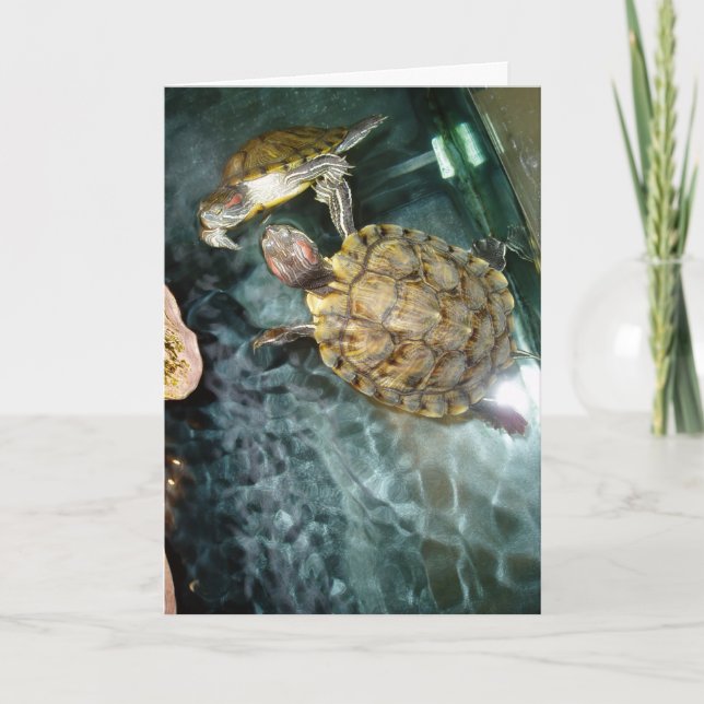 Geburtstagskarte "Tanzturtles" Karte (Vorderseite)