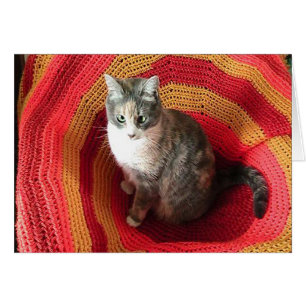 Geburtstagskatze auf der afghanischen Deckkarte