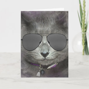 Geburtstagskatze mit Aviator-Sonnenbrille Karte
