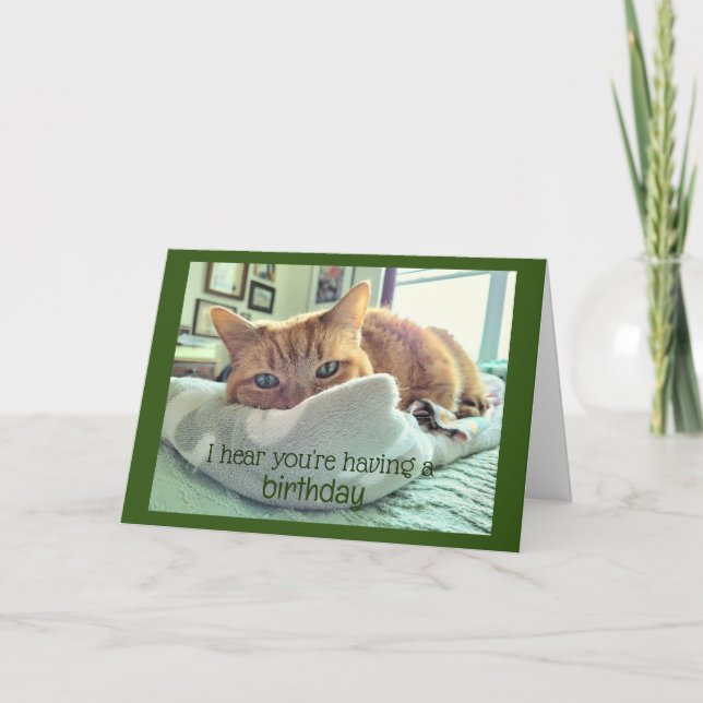 Geburtstagskatzen Nickerchen Karte (Vorderseite)