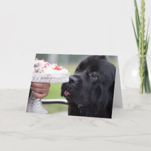 Geburtstagskuchen und Hund Karte
